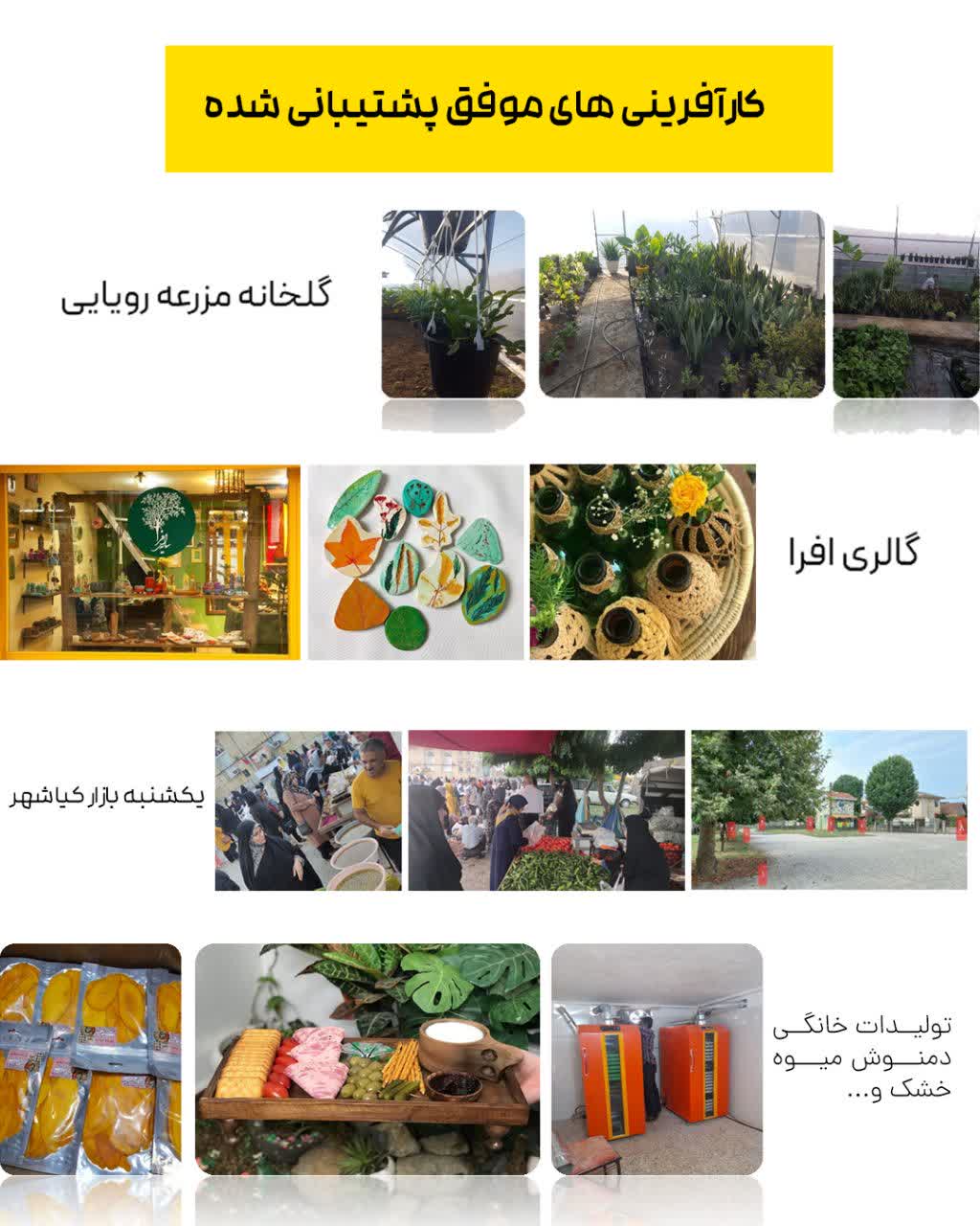 کارآفرینی های پشتیبانی شده